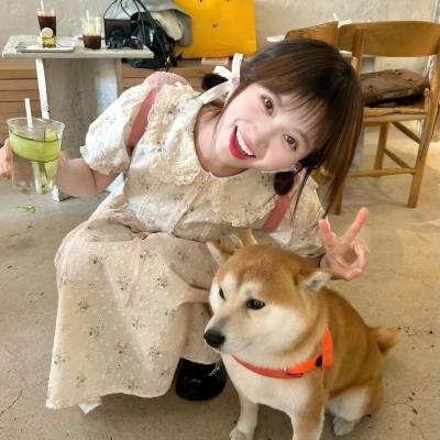猫和金丝雀